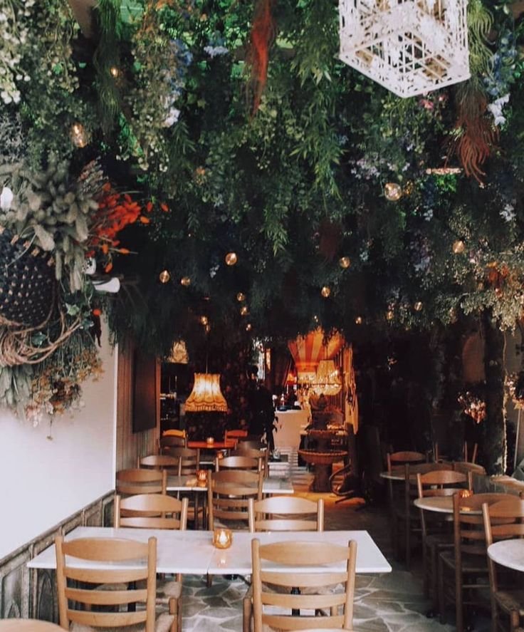 Find Top Rated Luxury Restaurants Amsterdams Michelin Star Gems