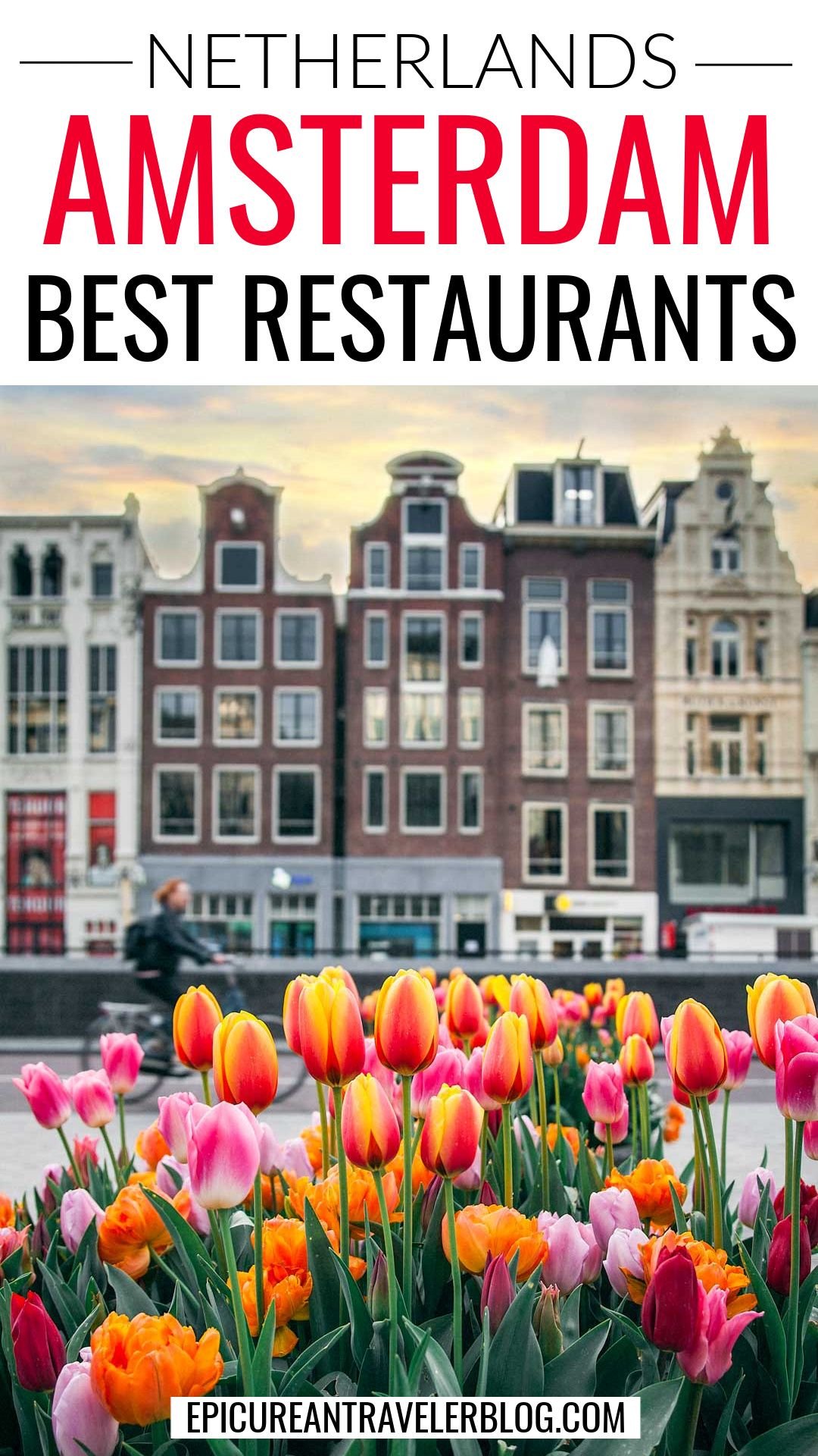 Where to Eat in Amsterdam Oud-West From Brunch to Bites
